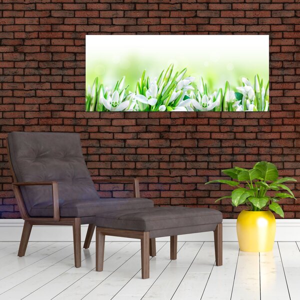 Slika - Visibabe (120x50 cm)