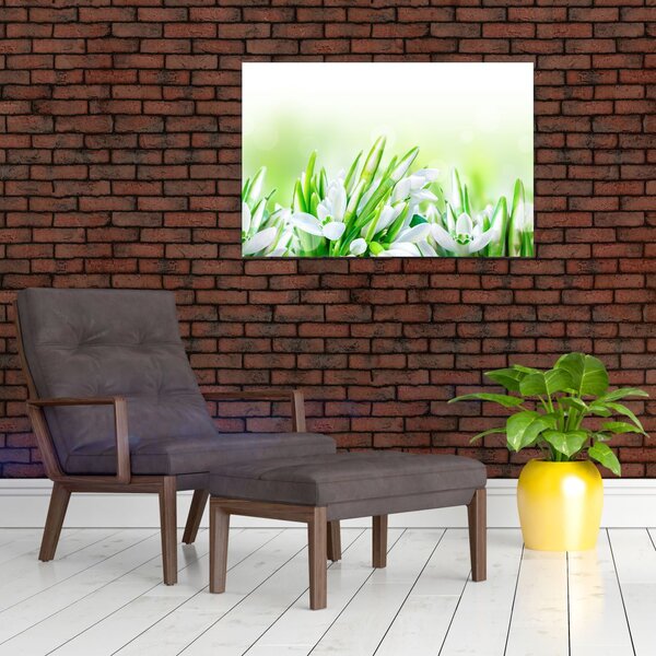 Slika - Visibabe (90x60 cm)