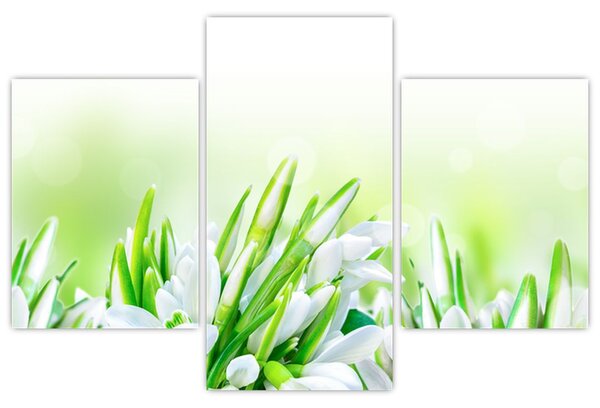 Slika - Visibabe (90x60 cm)