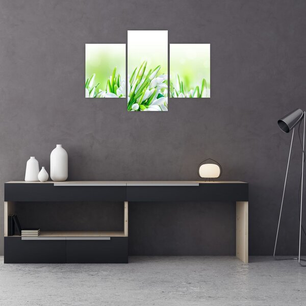 Slika - Visibabe (90x60 cm)