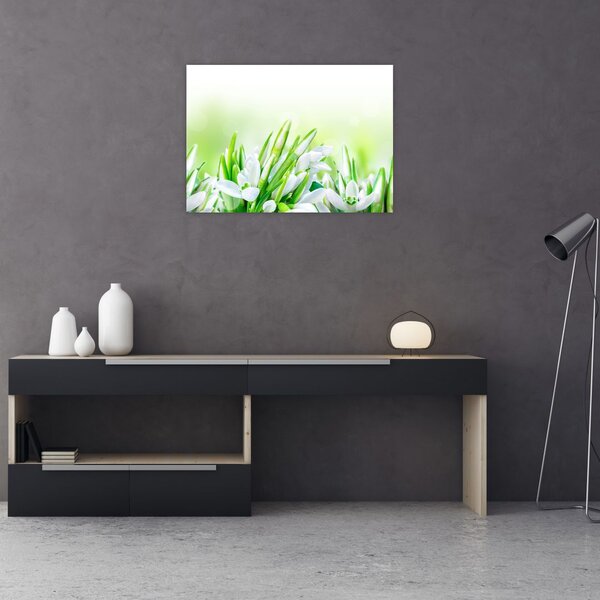 Slika - Visibabe (70x50 cm)