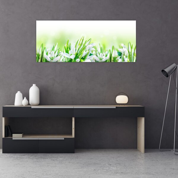 Slika - Visibabe (120x50 cm)