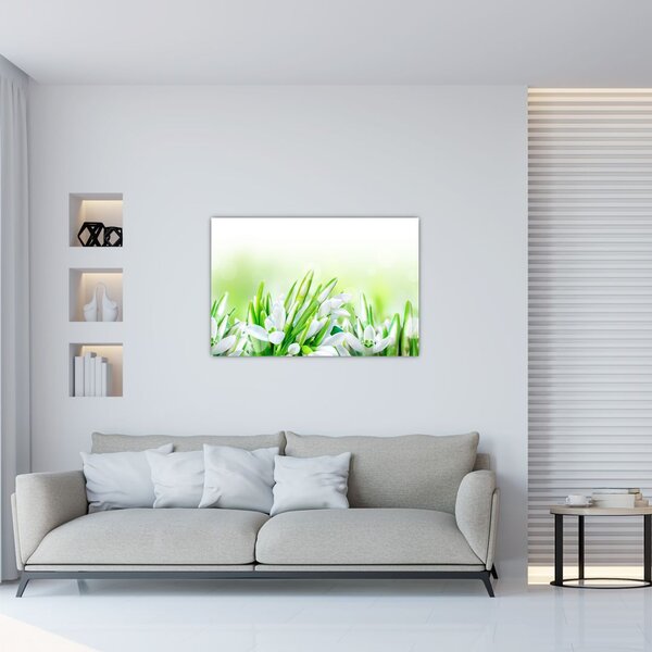 Slika - Visibabe (90x60 cm)