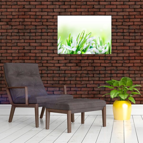 Slika - Visibabe (70x50 cm)