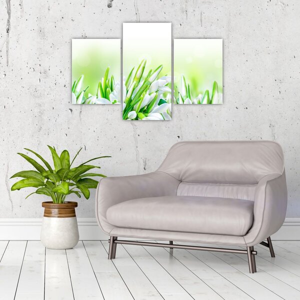 Slika - Visibabe (90x60 cm)