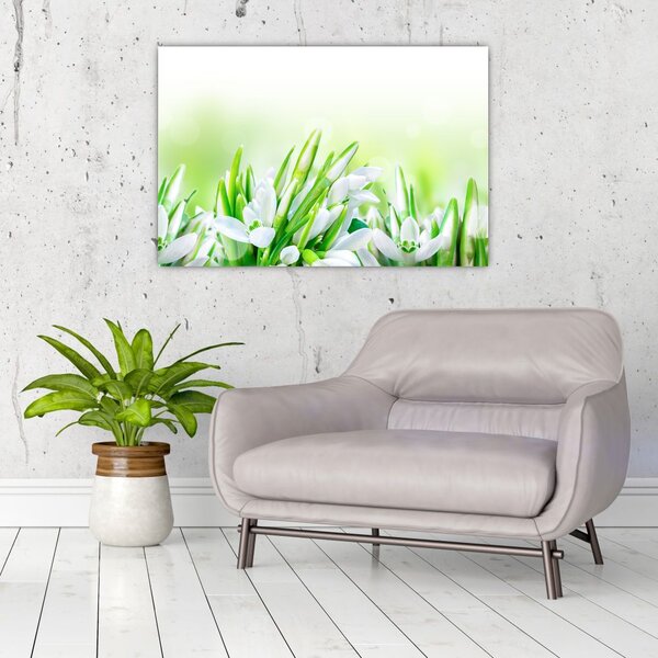 Slika - Visibabe (90x60 cm)