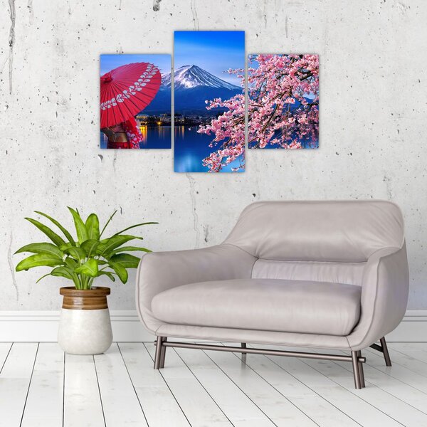 Slika - Pogled na vrh, Japan (90x60 cm)