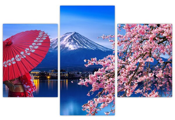 Slika - Pogled na vrh, Japan (90x60 cm)