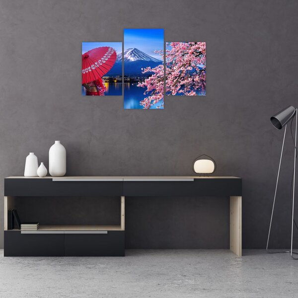 Slika - Pogled na vrh, Japan (90x60 cm)