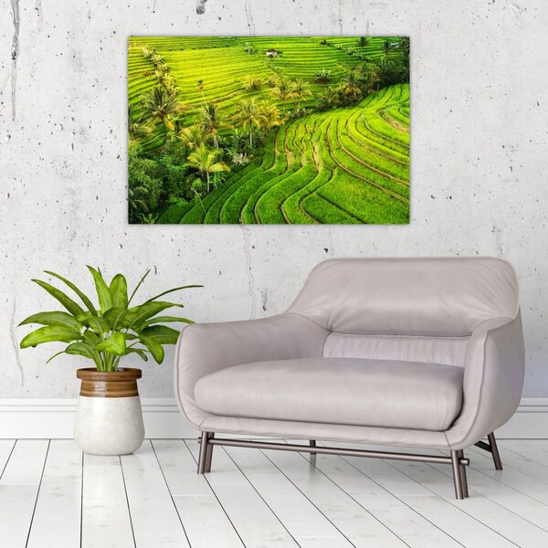 Slika - Rižine terase (90x60 cm)