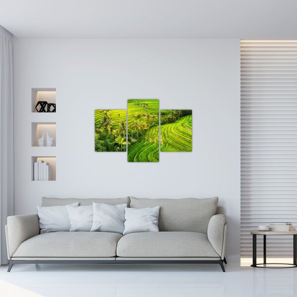 Slika - Rižine terase (90x60 cm)