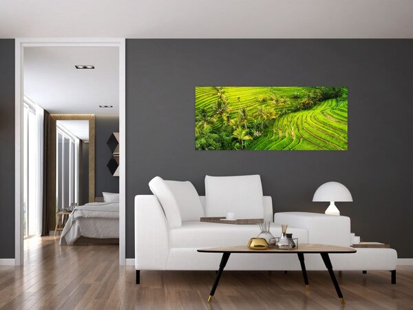Slika - Rižine terase (120x50 cm)