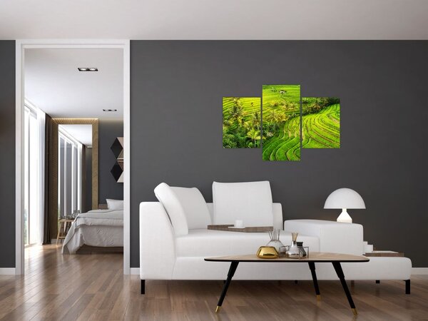 Slika - Rižine terase (90x60 cm)