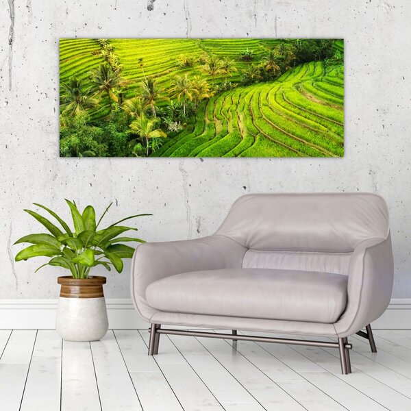 Slika - Rižine terase (120x50 cm)