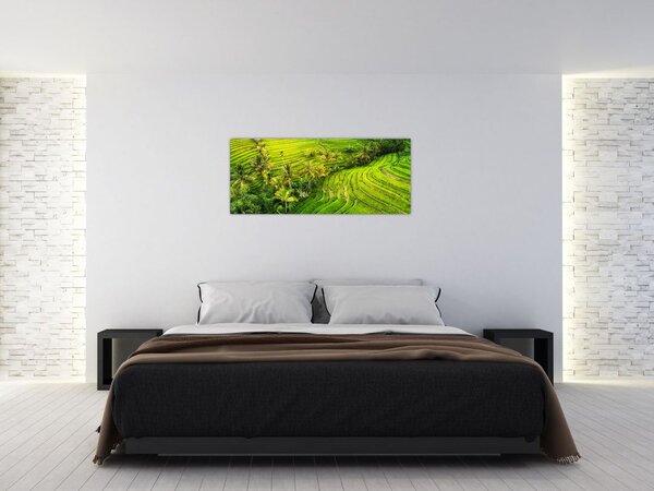 Slika - Rižine terase (120x50 cm)