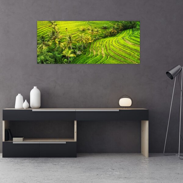 Slika - Rižine terase (120x50 cm)