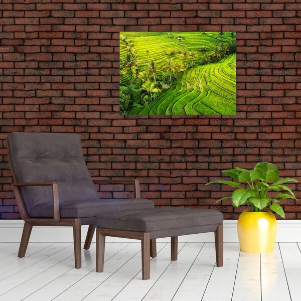 Slika - Rižine terase (70x50 cm)