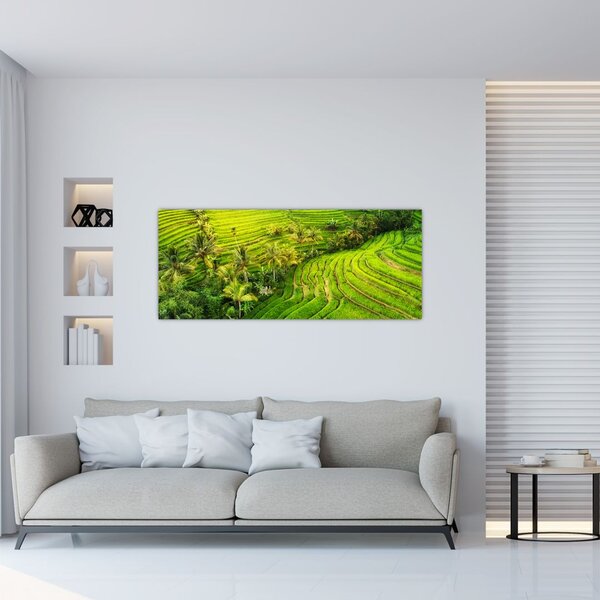 Slika - Rižine terase (120x50 cm)
