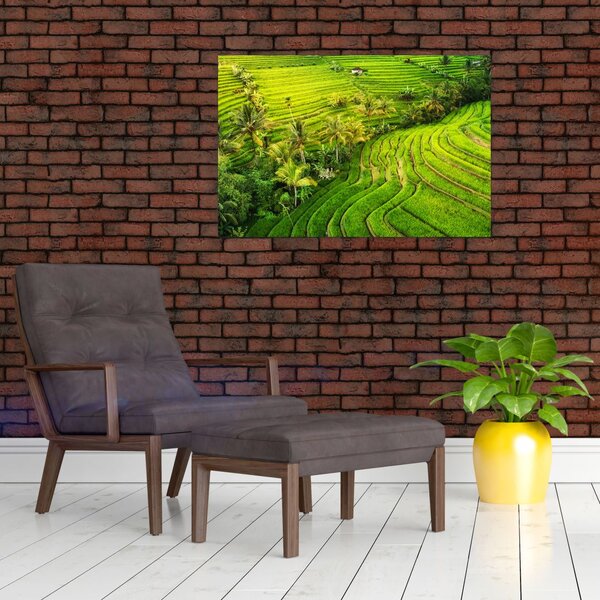 Slika - Rižine terase (90x60 cm)