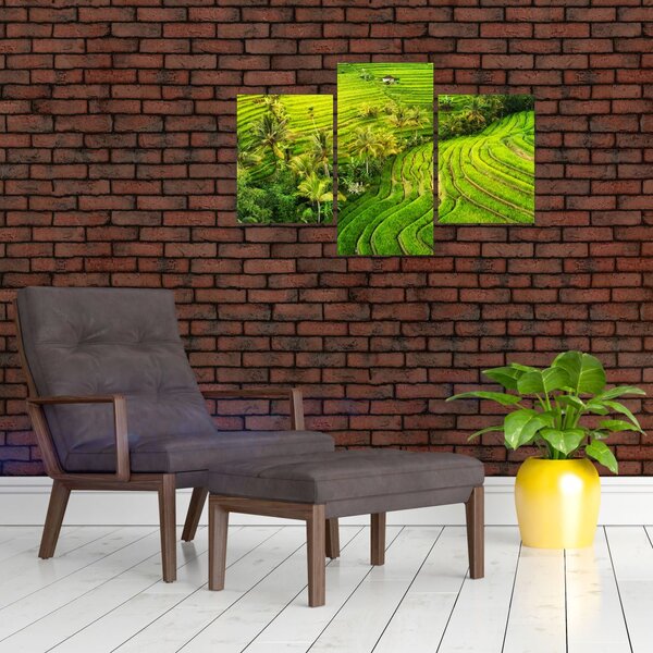 Slika - Rižine terase (90x60 cm)