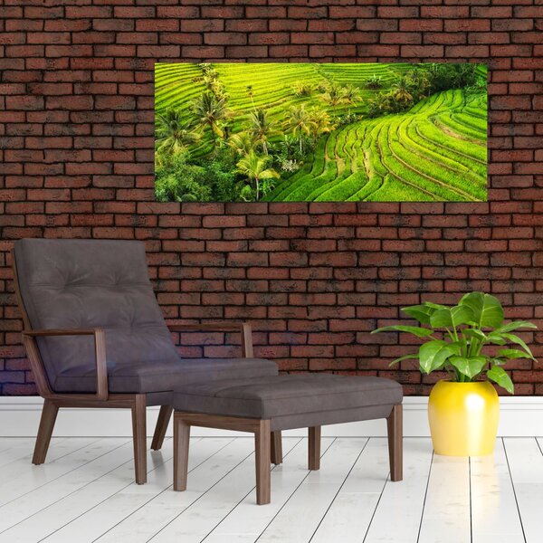 Slika - Rižine terase (120x50 cm)