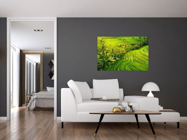 Slika - Rižine terase (90x60 cm)