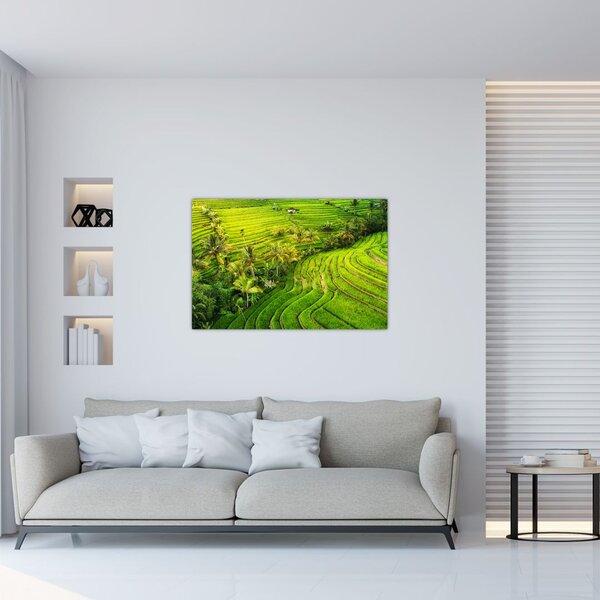 Slika - Rižine terase (90x60 cm)