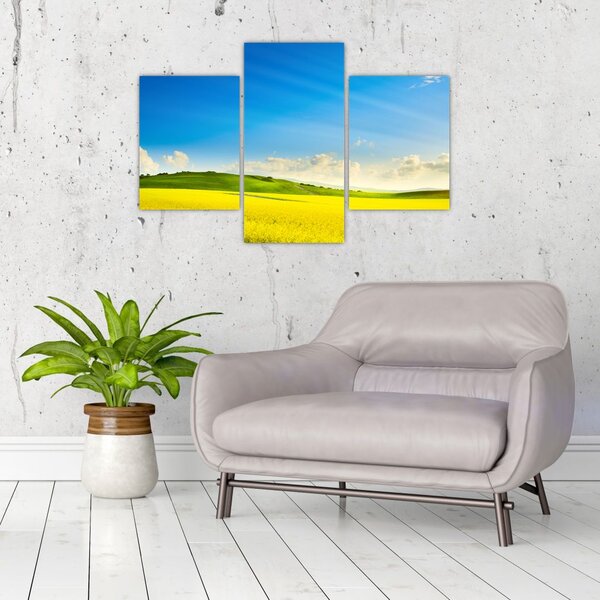 Slika - Proljetno nebo (90x60 cm)