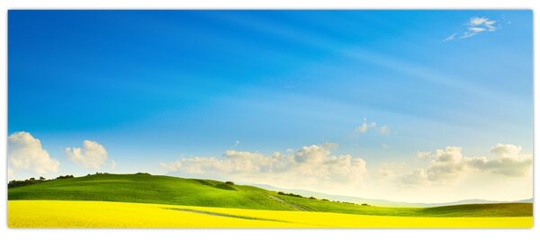 Slika - Proljetno nebo (120x50 cm)
