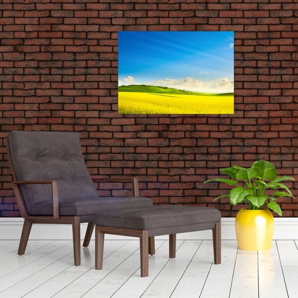 Slika - Proljetno nebo (70x50 cm)