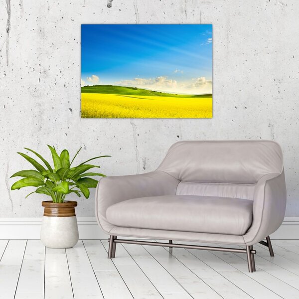 Slika - Proljetno nebo (70x50 cm)