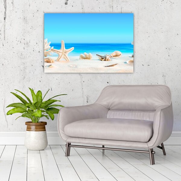 Slika - Mrtva priroda s školjkama (90x60 cm)
