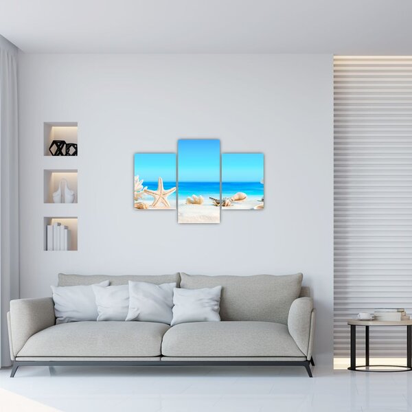 Slika - Mrtva priroda s školjkama (90x60 cm)