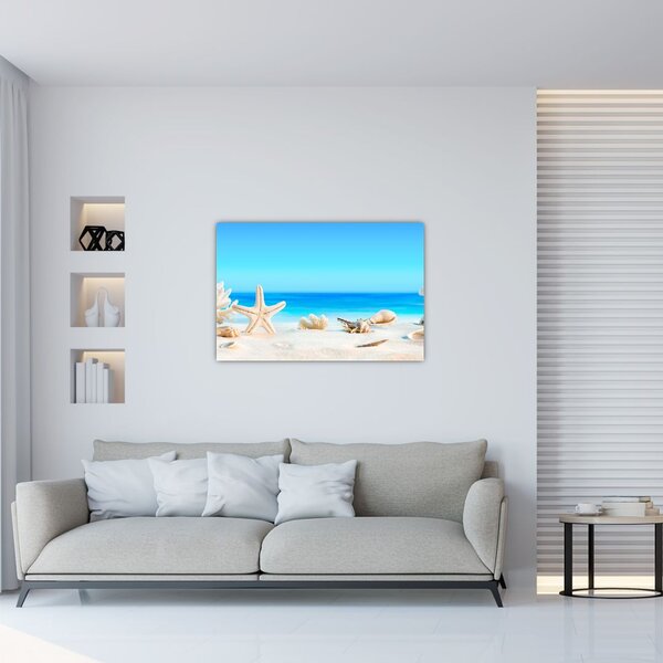 Slika - Mrtva priroda s školjkama (90x60 cm)