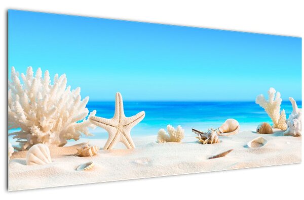 Slika - Mrtva priroda s školjkama (120x50 cm)