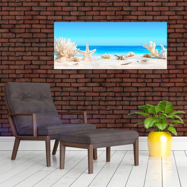 Slika - Mrtva priroda s školjkama (120x50 cm)