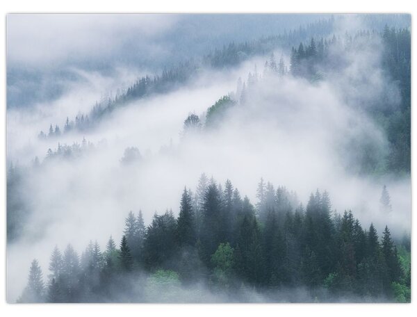 Slika - Drveće u magli (70x50 cm)