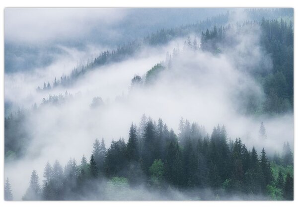 Slika - Drveće u magli (90x60 cm)