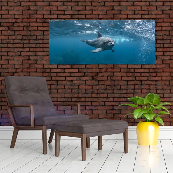 Slika - Dupin ispod površine mora (120x50 cm)