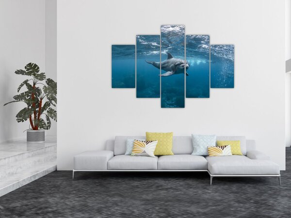 Slika - Dupin ispod površine mora (150x105 cm)