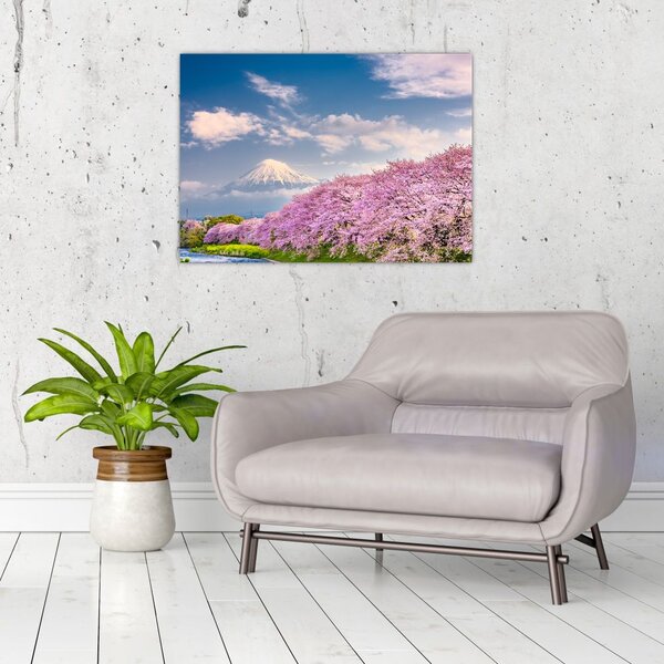 Slika - Japanski proljetni krajolik (70x50 cm)