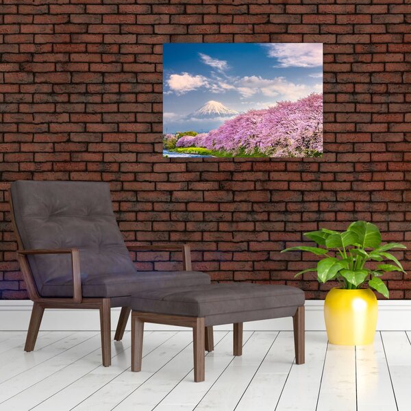 Slika - Japanski proljetni krajolik (70x50 cm)