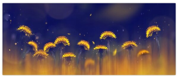 Slika - Maslačci (120x50 cm)