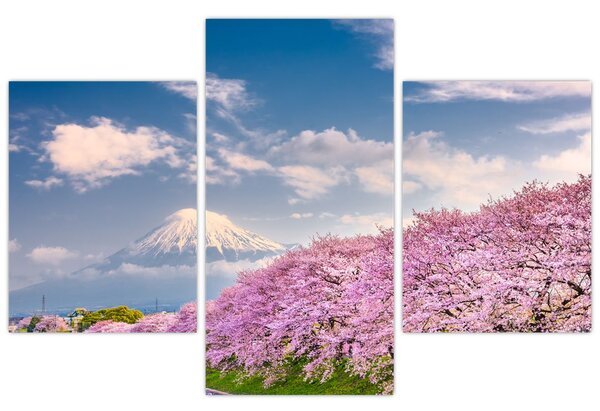 Slika - Japanski proljetni krajolik (90x60 cm)