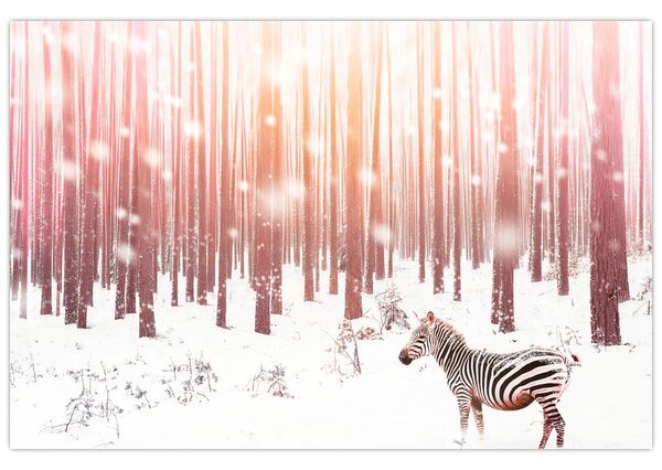 Slika - Zebra u snježnoj šumi (90x60 cm)