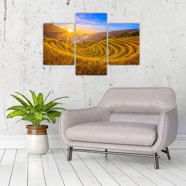 Slika - Rižine terase u Vijetnamu (90x60 cm)
