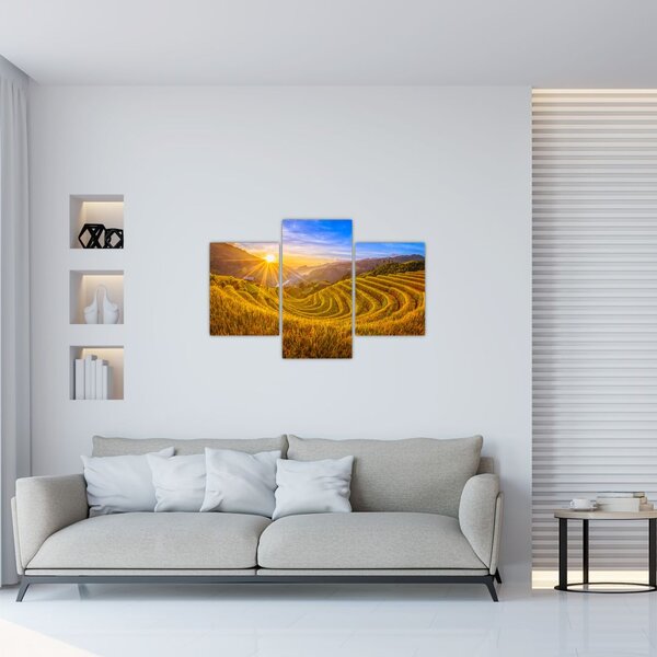 Slika - Rižine terase u Vijetnamu (90x60 cm)