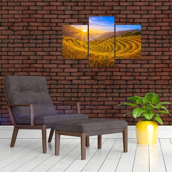 Slika - Rižine terase u Vijetnamu (90x60 cm)