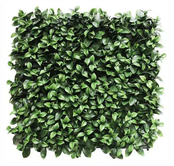 Zeleni zidni panel Mystic Garden 50 x 50 UV - zelena - 31 - 50 cm - DA