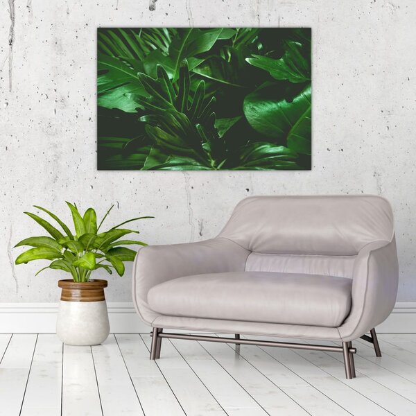 Slika - Lišće palme (90x60 cm)